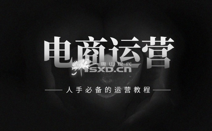 唐山淘寶運營培訓機構哪家好